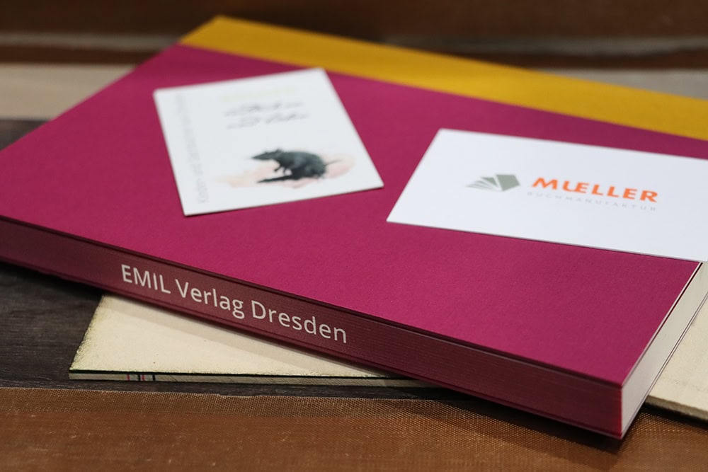 Dresden zum Gruseln – Band 1